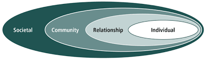 HISTORICAL THEORY OF DOMESTIC ABUSE FINAL