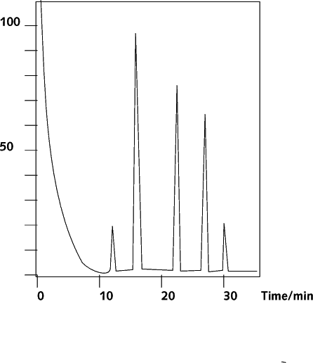 ANALYSIS OF CIMA PAINTING