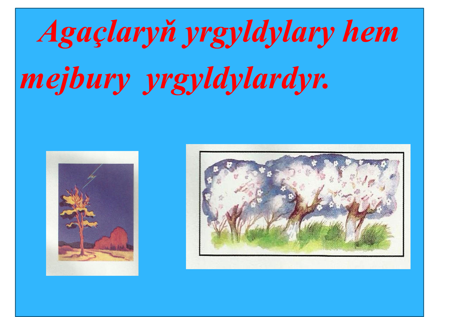 22.MEJBURY YRGYLDYLAR