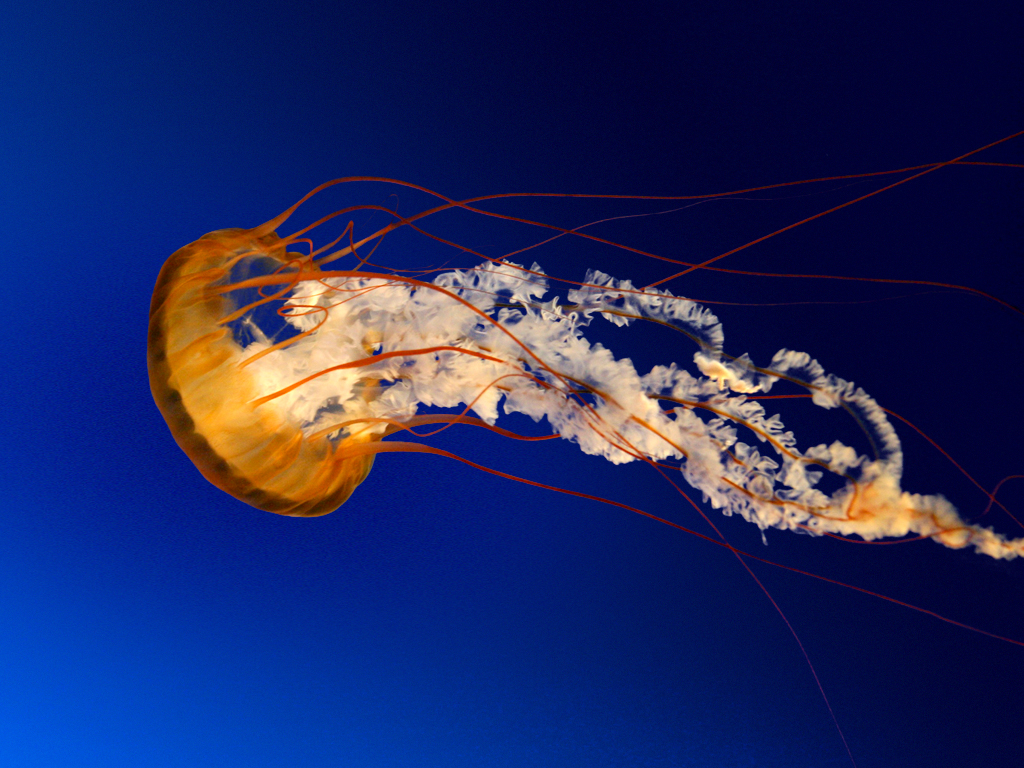 Exploring our solar system  part 2