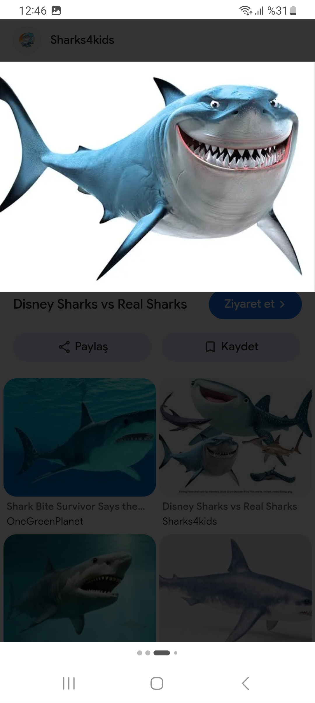 SHARKS AKULALAR