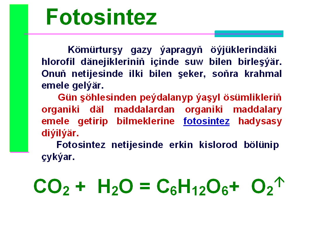 6 BIO FOTOSINTEZ