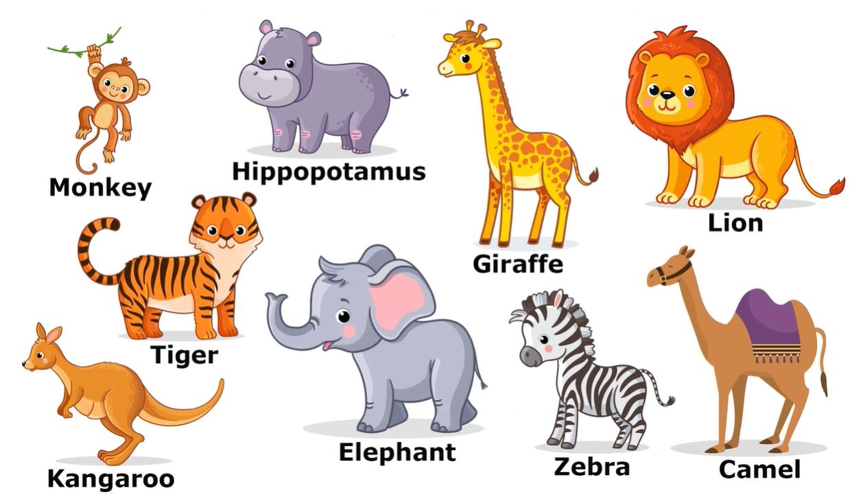 ANIMALS
