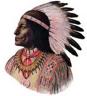 THE FRENCH AND INDIAN WAR
