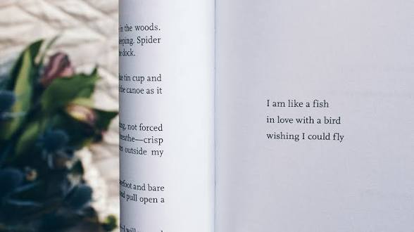 POETRY TERMS