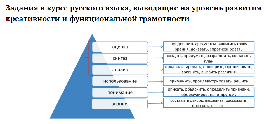 Функциональная грамотность — копия