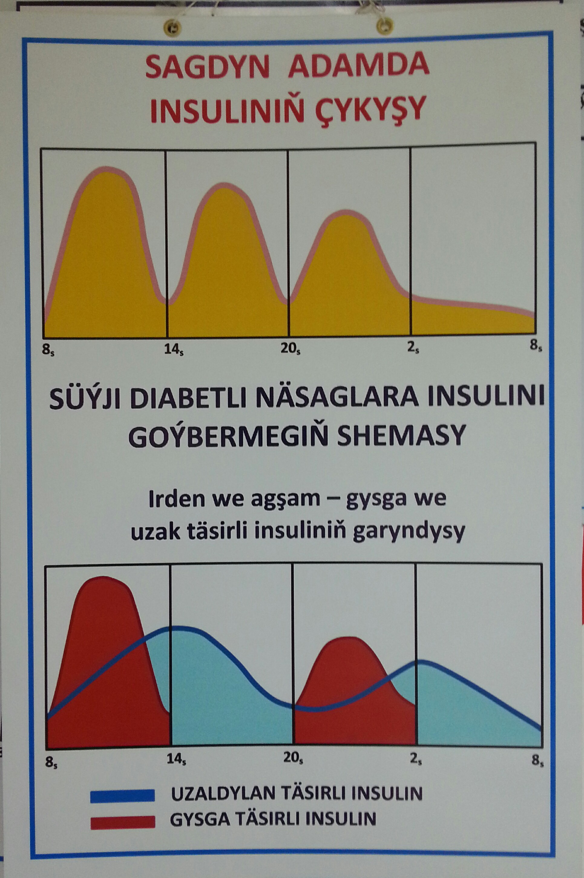 Insulin bejergi