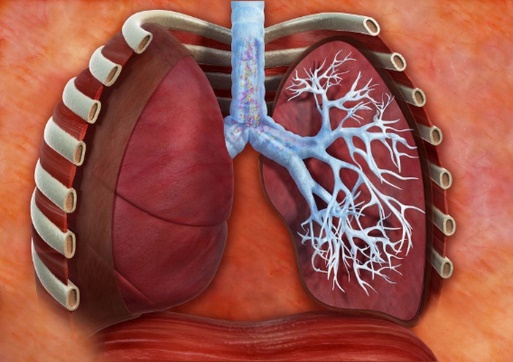 Ötüşen tozanly bronhit