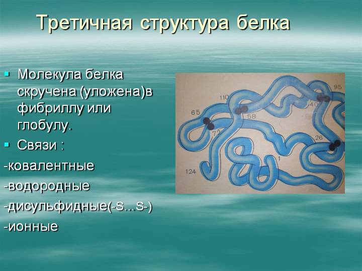 beloklar