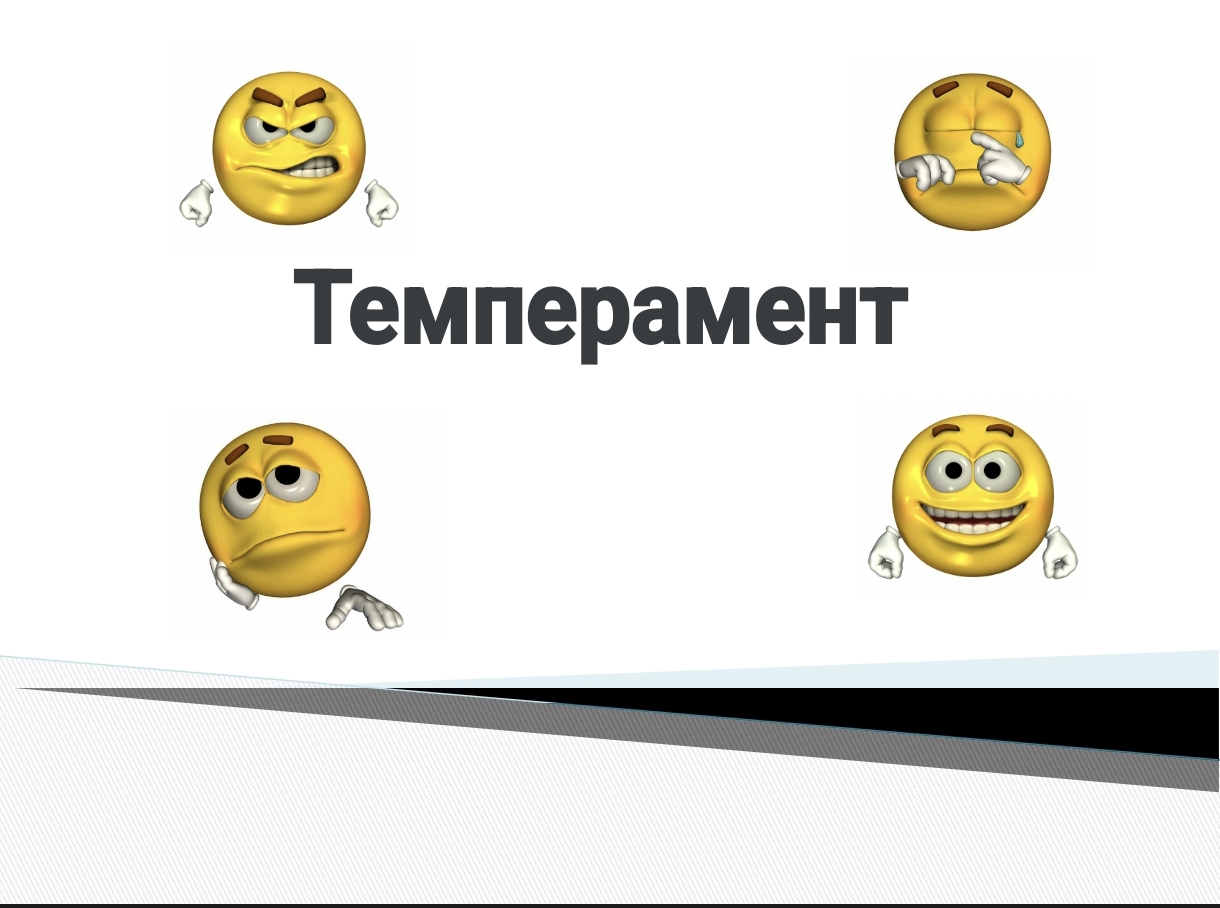 64667.PPTX