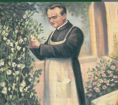 MENDEL 1