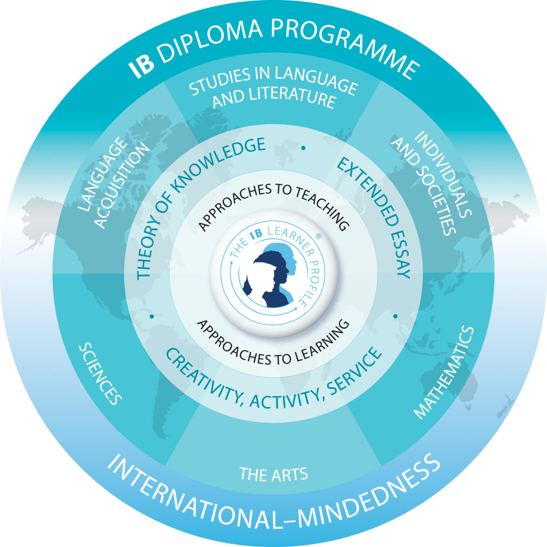 COURSE SELECTION FOR GRADE 11 IB STUDENTS 1