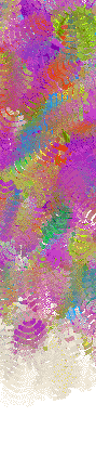 EXPPHOTOSYNTHESIS1
