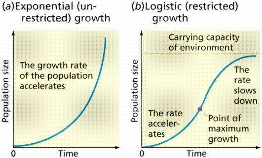POPULATIONS