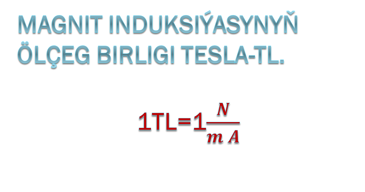 23.MAGNIT INDUKSIÝASY