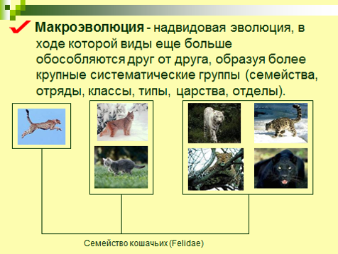 10 А КЛАСС