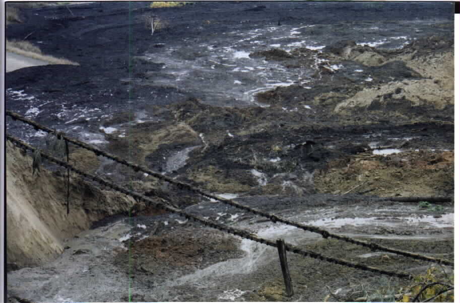 BONNERS FERRY MUDSLIDE