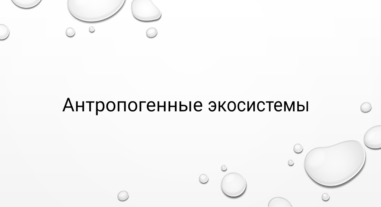 1116435.PPTX