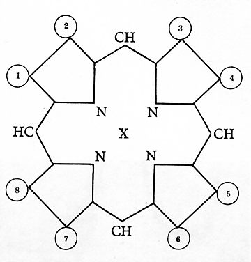 PROTEIN STRUCTURE