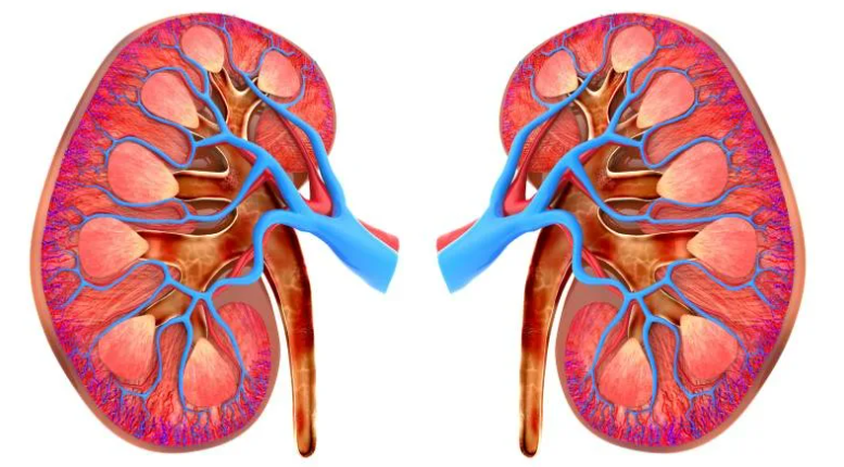 Bölüp çykaryş ulgamy