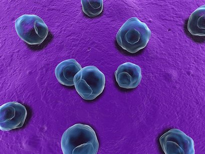 Hlamidiýa we ateroskleroz